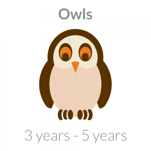 Owls Ages Three Years to Five Years